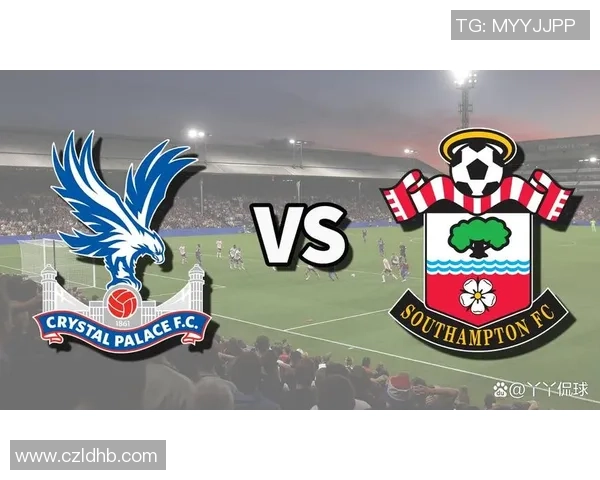 南安普敦对阵水晶宫精彩视频直播全程回顾与赛后分析 南安普敦对阵水晶宫精彩视频直播全程回顾与赛后分析